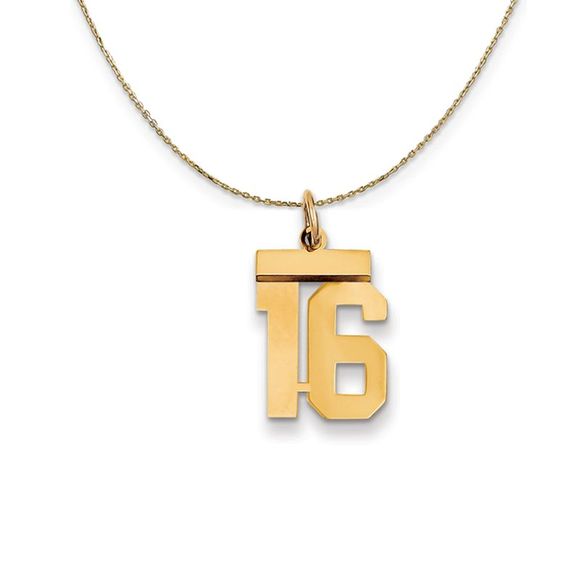 14k Yellow Gold, Athletic, Sm Polished Number 16 Necklace - 22 Inch - Picture 1 of 7